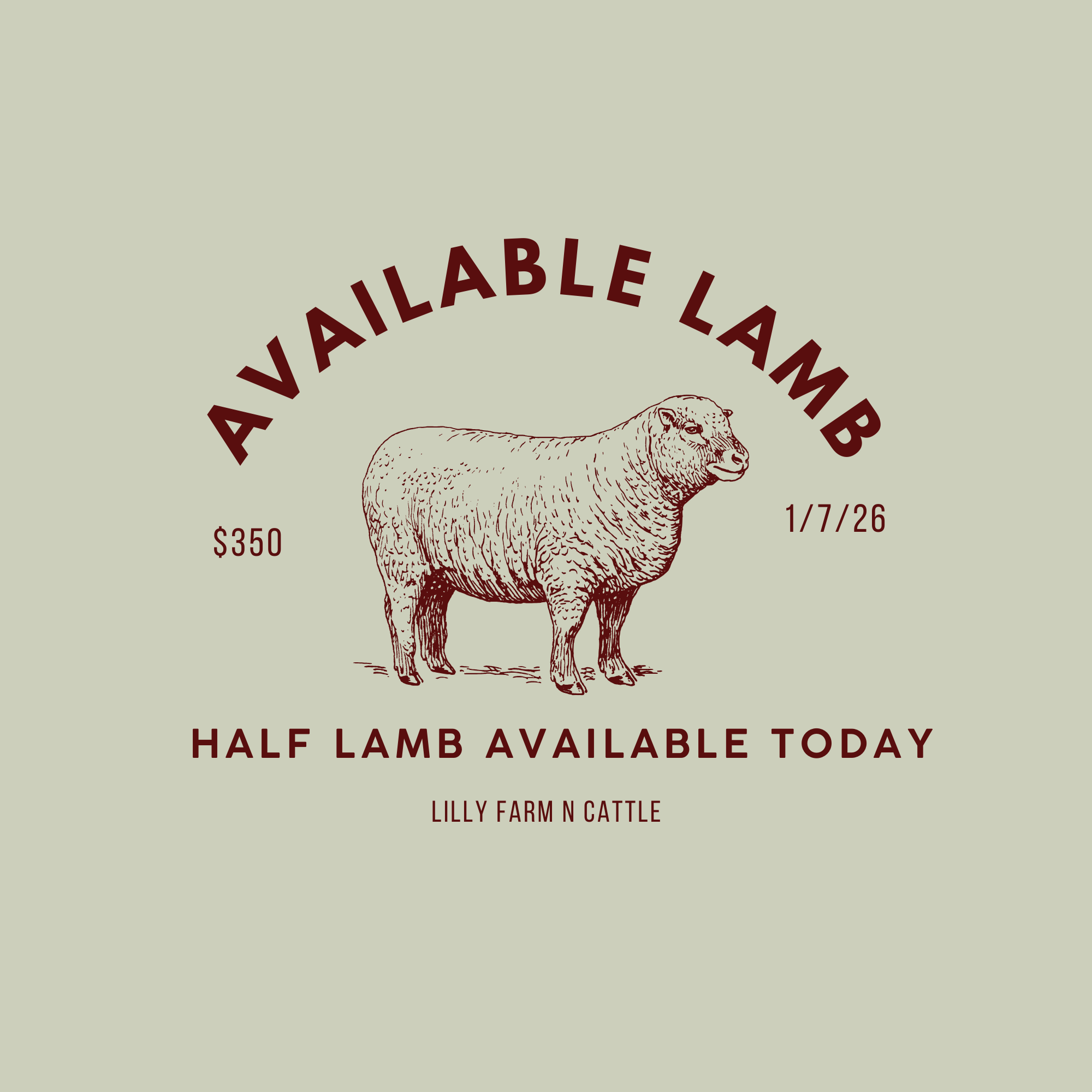 HALF LAMB